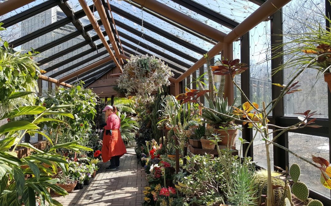 Spring at the Minnesota Landscape Arboretum